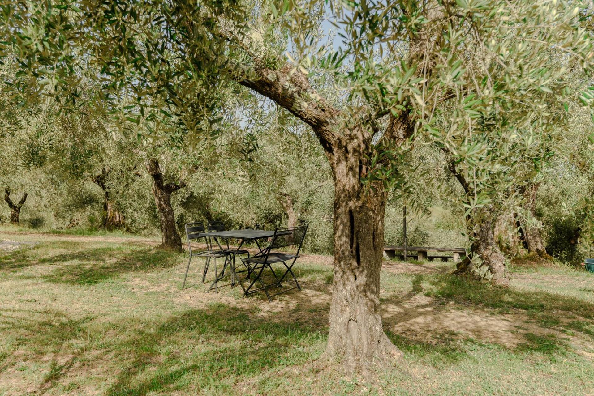 Agriturismo Il Mulino Delle Canutole Magione Zewnętrze zdjęcie